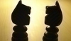 Dvě šachovnicové figurky koně stojící ve světle
